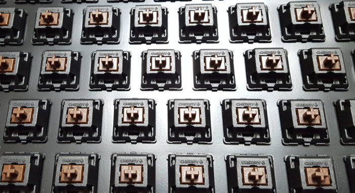 Tactile switches
